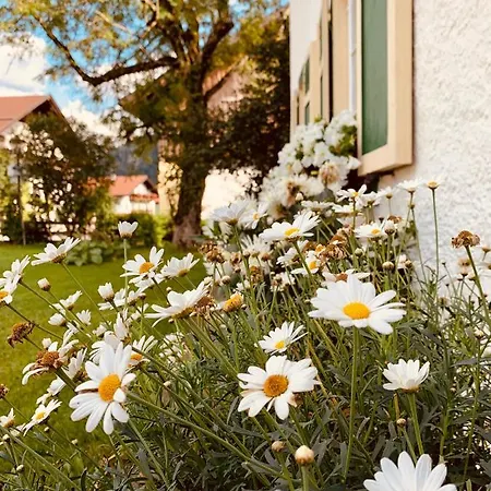 Bed & Breakfast Bnb44 Only No Breakfast Bichlbach