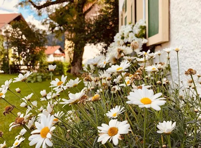 住宿加早餐酒店 Bnb44 Only No Breakfast 比荷巴赫