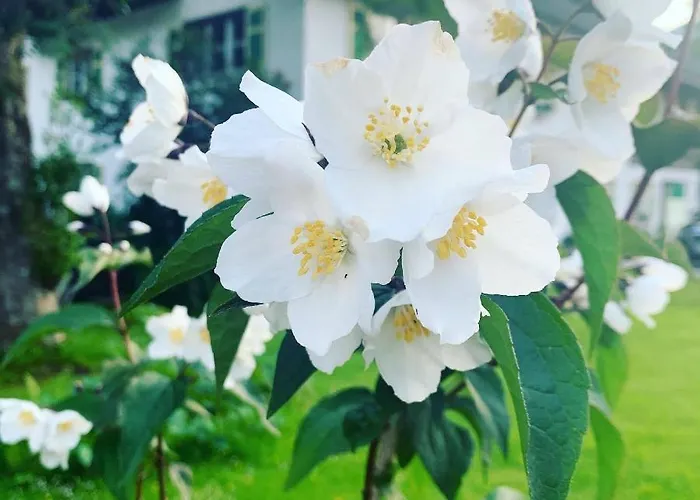 Bnb44 Only No Breakfast 住宿加早餐酒店