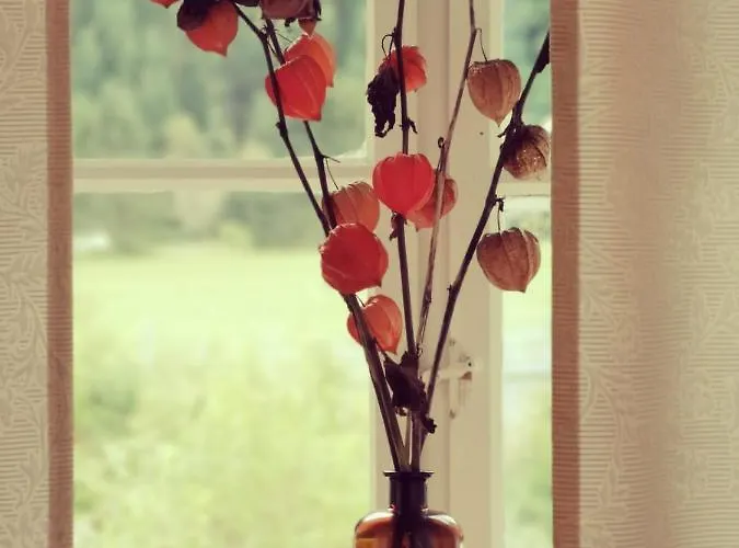 Bnb44 Only No Breakfast 住宿加早餐酒店 比荷巴赫