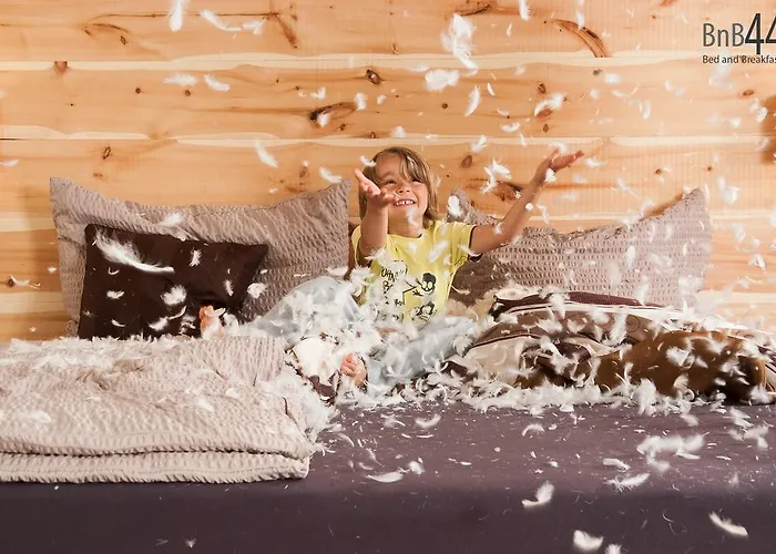 住宿加早餐酒店 Bnb44 Only No Breakfast 比荷巴赫