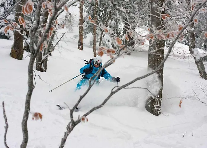 Bnb44 Only No Breakfast 比荷巴赫